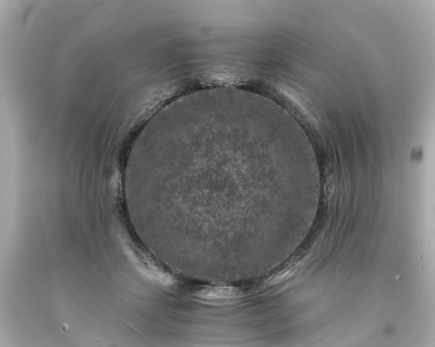 X0000094180459200711021009