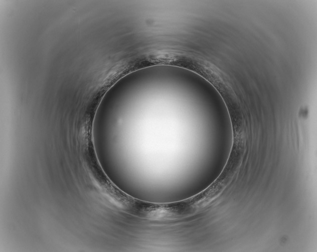X0000094180460200711021009