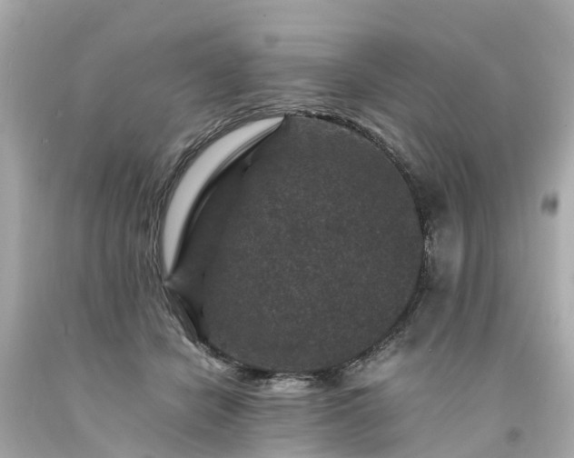 X0000094180462200711021009