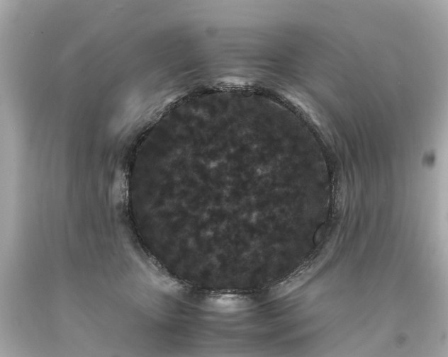 X0000094180467200711021009
