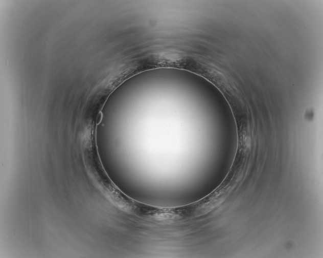 X0000094180468200711021009