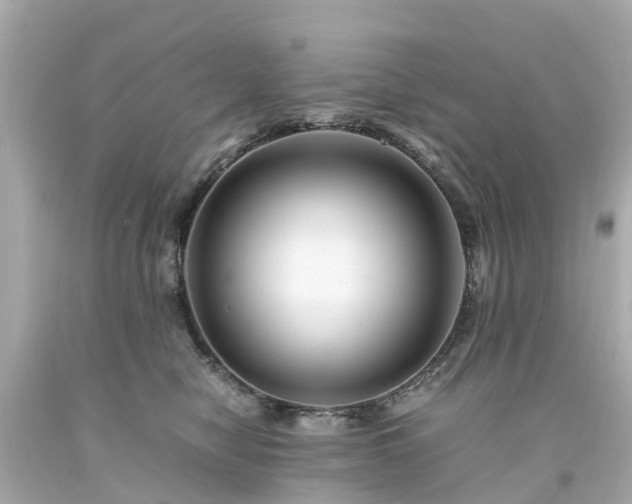 X0000094180470200711021009