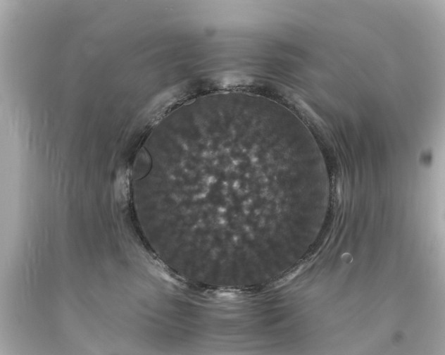 X0000094180475200711021009