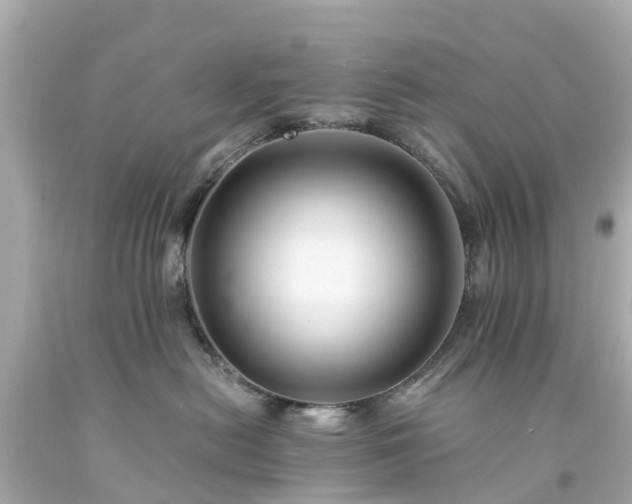X0000094180478200711021009