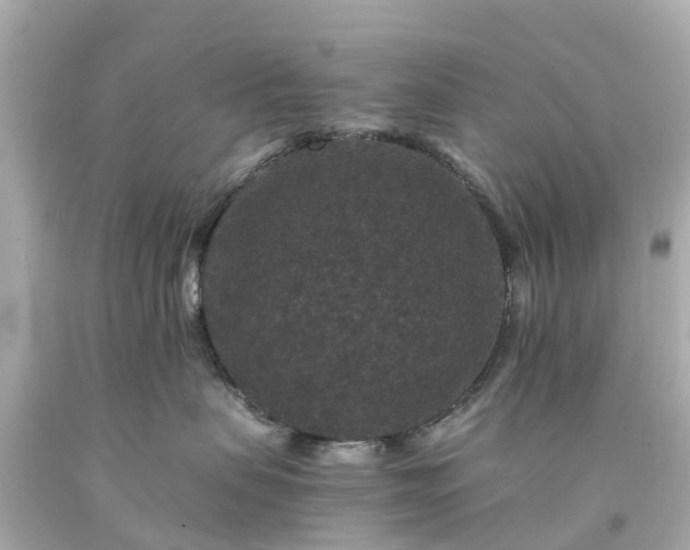 X0000094180479200711021009
