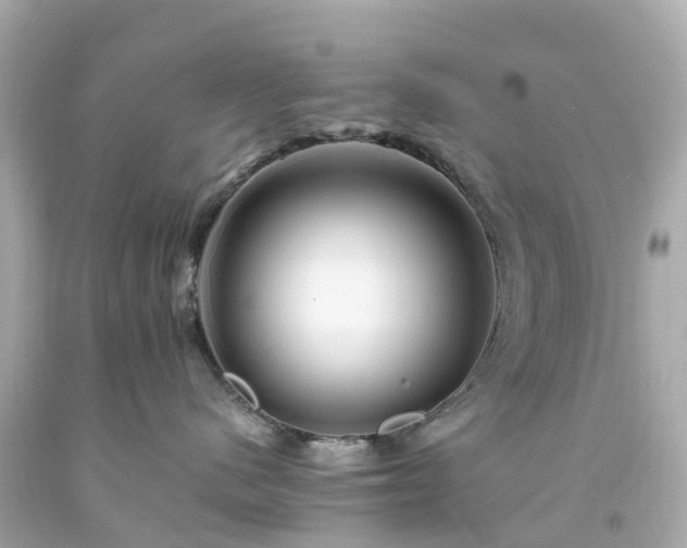 X0000094180480200711021009