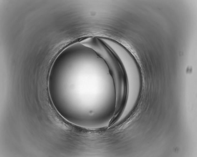 X0000094180481200711021009