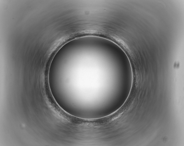 X0000094180482200711021009