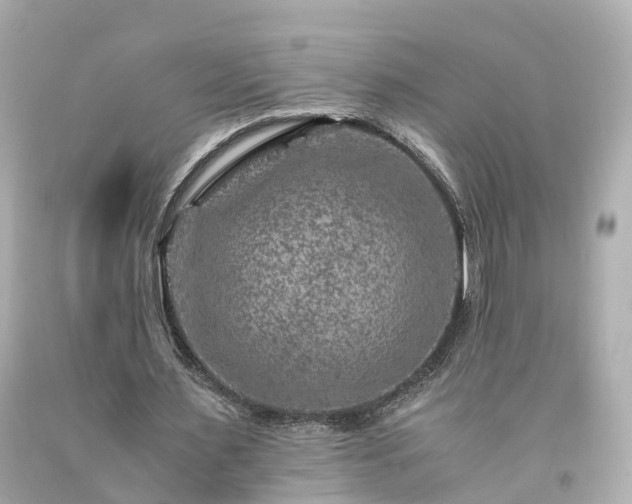 X0000094180483200711021009