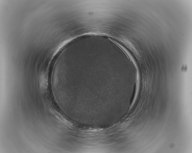 X0000094180484200711021009