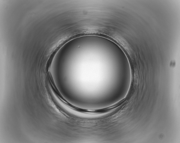 X0000094180485200711021009