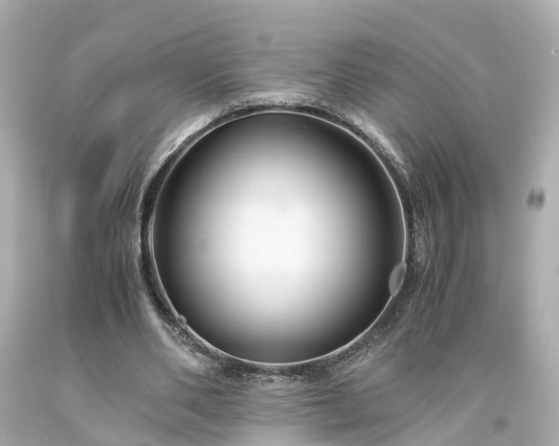 X0000094180486200711021009