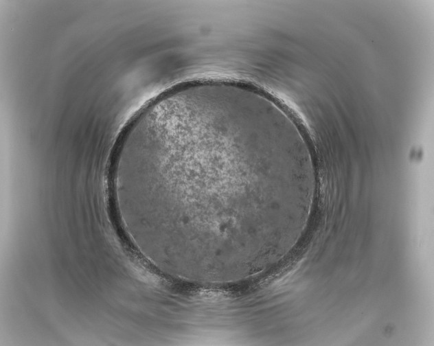 X0000094180487200711021009