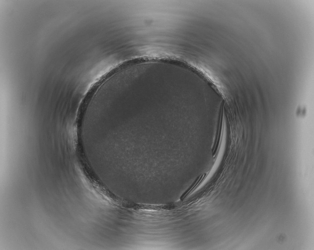 X0000094180488200711021009