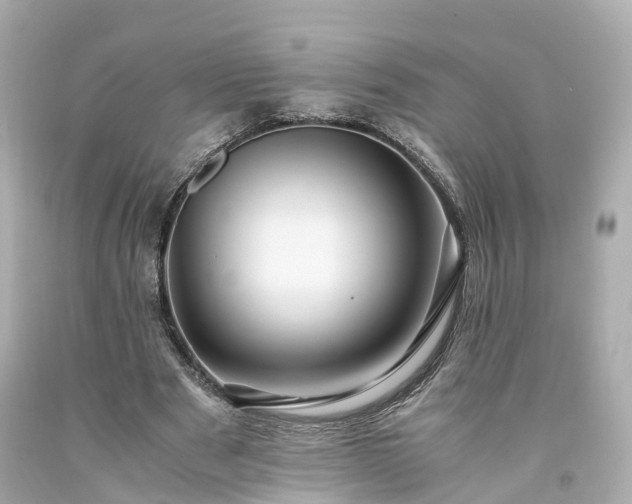 X0000094180489200711021009