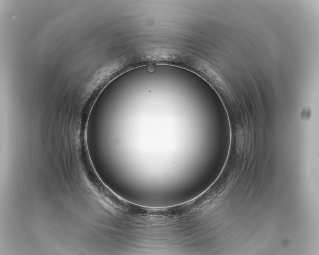 X0000094180490200711021008