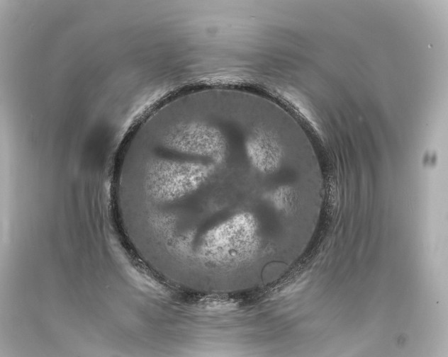X0000094180491200711021008