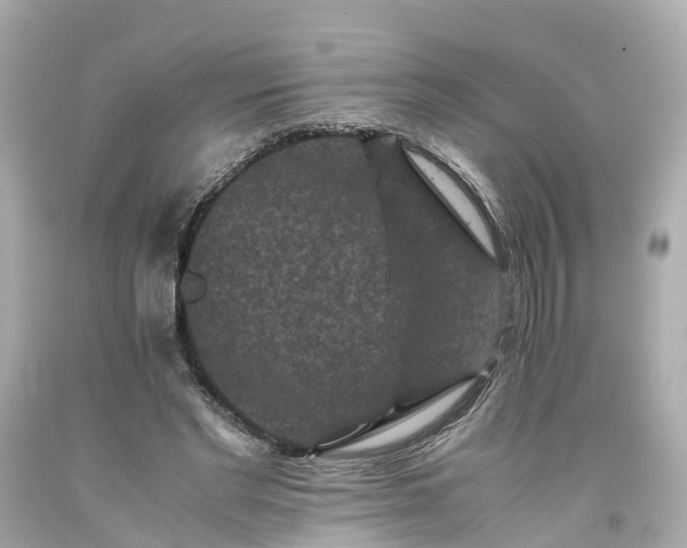 X0000094180493200711021008