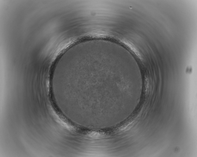 X0000094180494200711021008