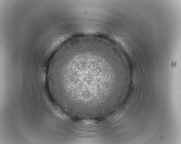 X0000094180495200711021008