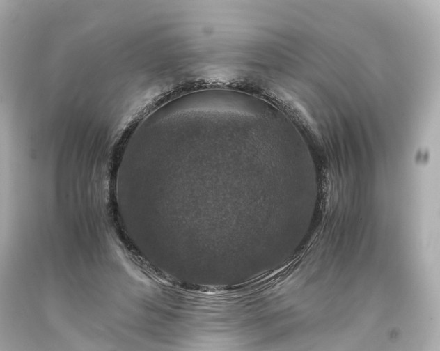 X0000094180496200711021008