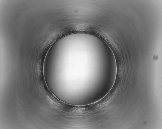 X0000094180497200711021008