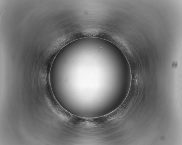 X0000094180498200711021008