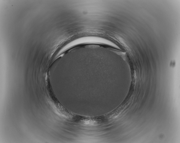 X0000094180500200711021008