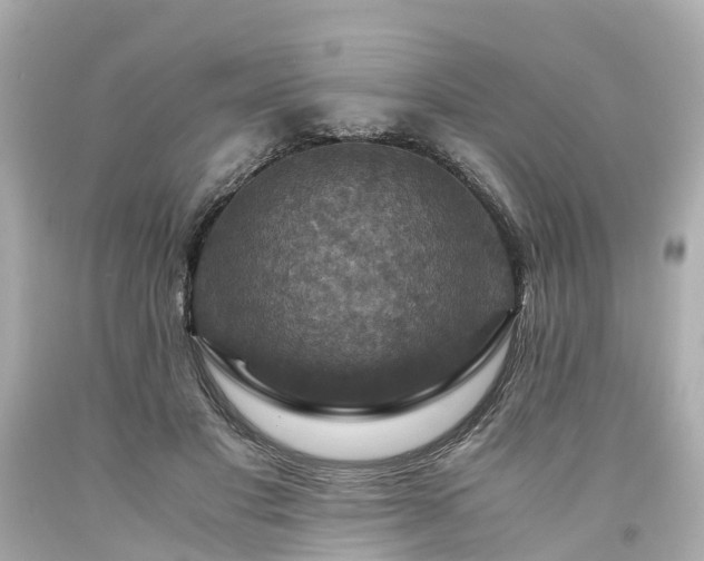 X0000094180501200711021008