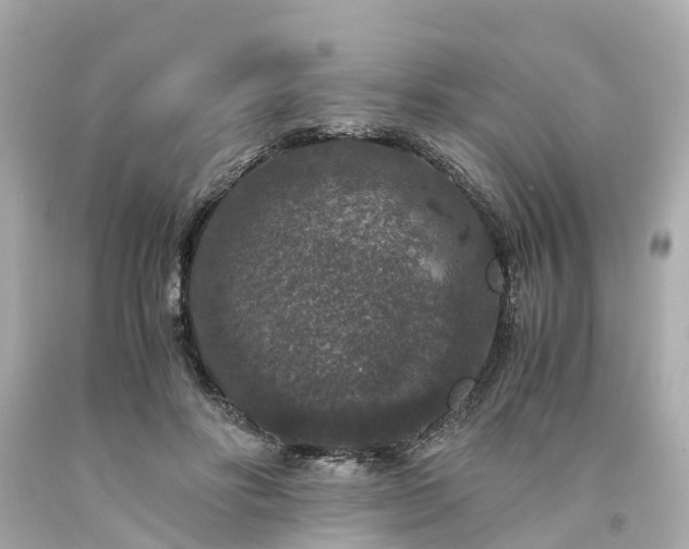 X0000094180502200711021008