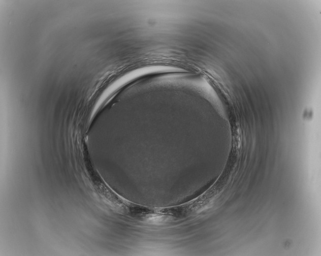 X0000094180504200711021008