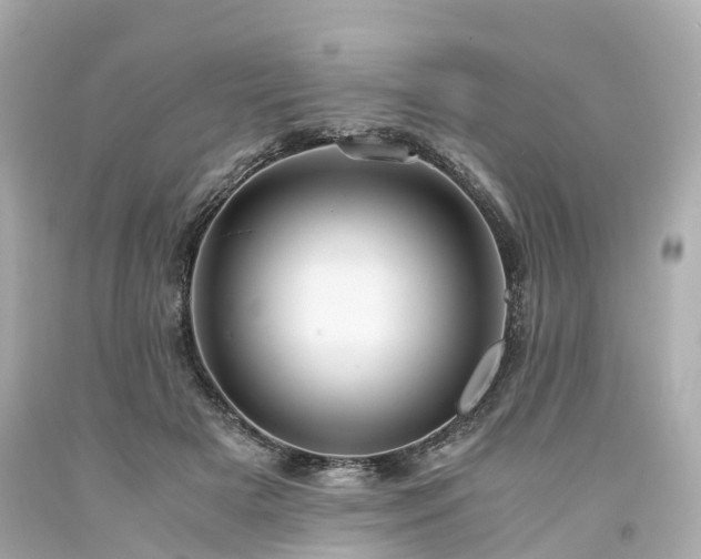 X0000094180505200711021008