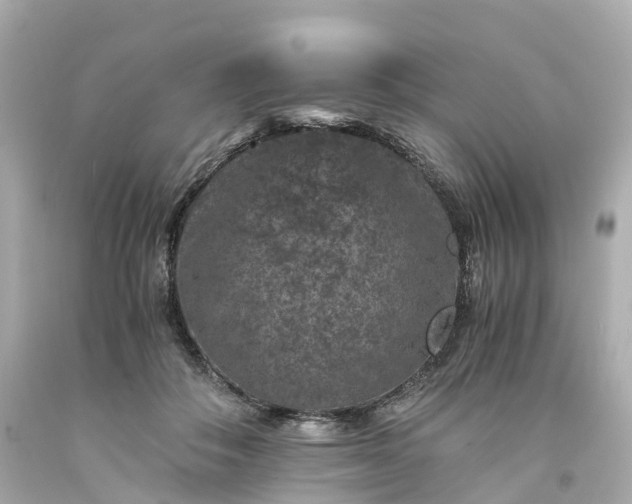 X0000094180506200711021008
