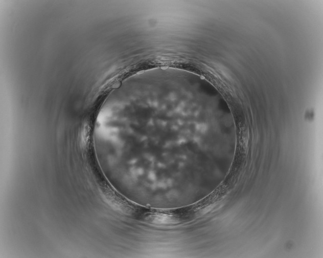 X0000094180507200711021008