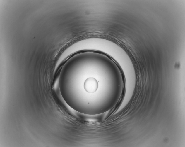 X0000094180508200711021008