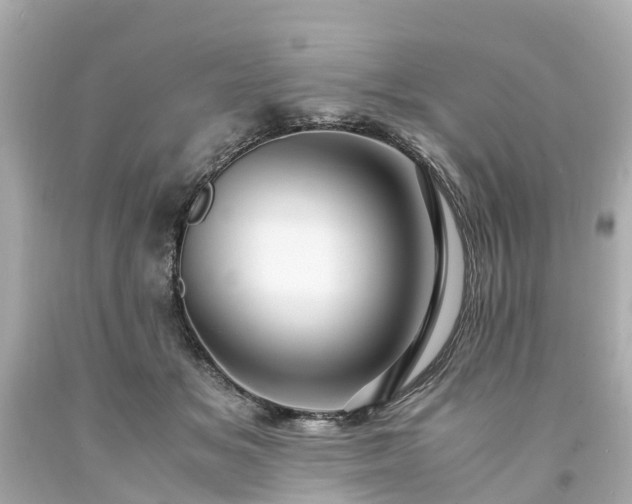 X0000094180509200711021008