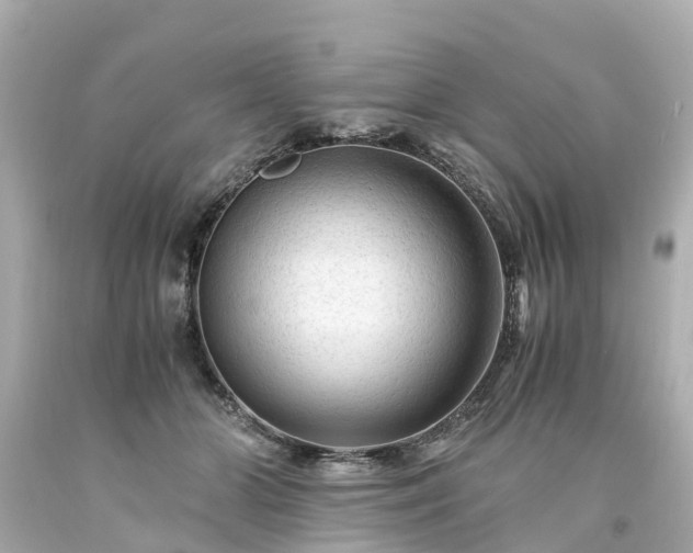 X0000094180510200711021008