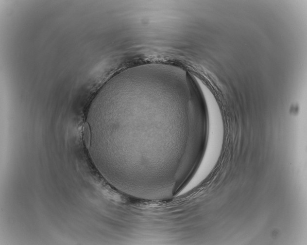 X0000094180513200711021008