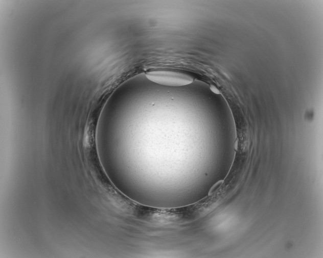 X0000094180515200711021008