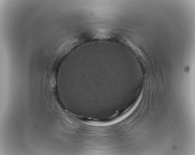 X0000094180517200711021008