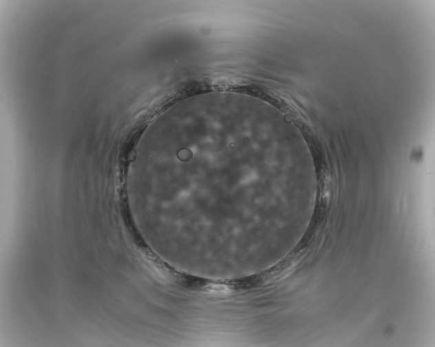 X0000094180519200711021008