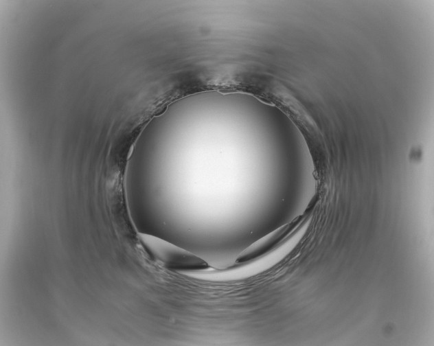 X0000094180521200711021008
