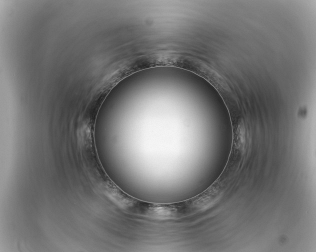 X0000094180522200711021008