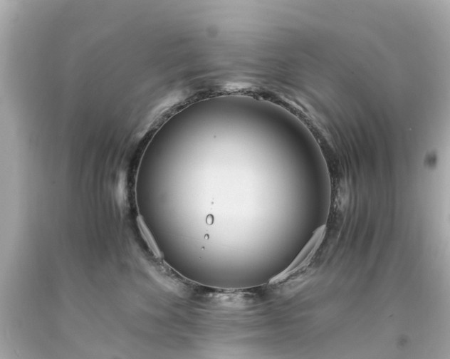 X0000094180524200711021008