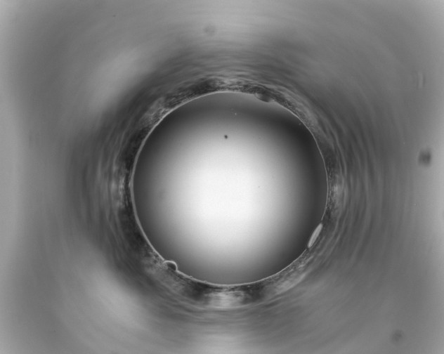 X0000094180525200711021008