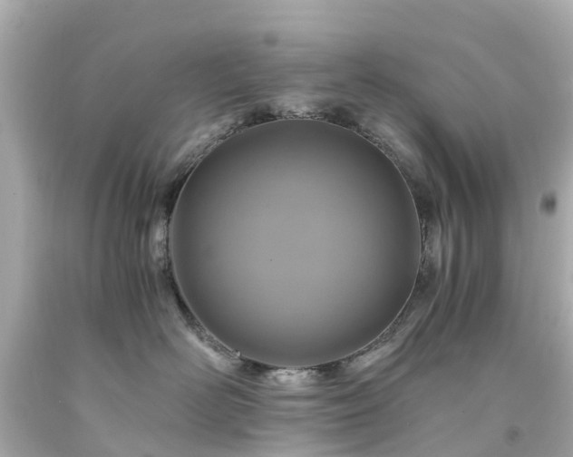X0000094180526200711021008