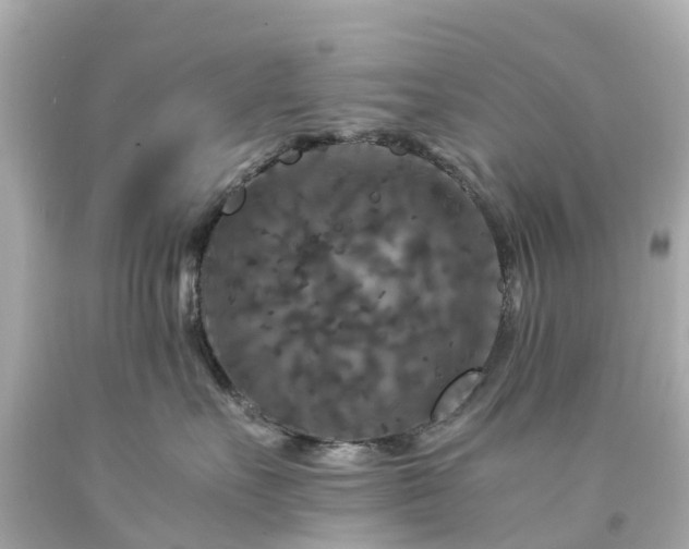 X0000094180527200711021008