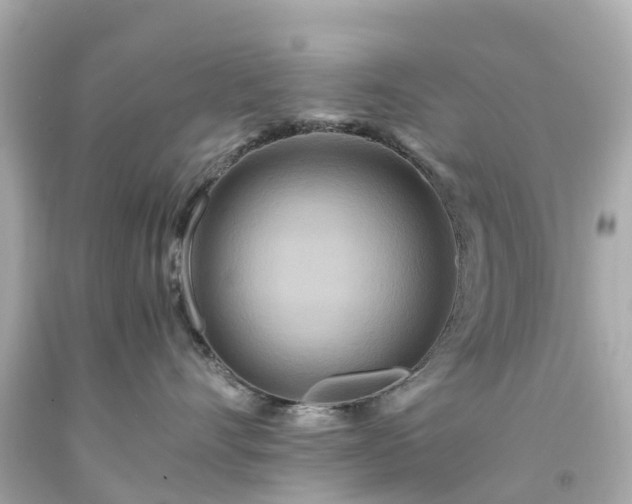 X0000094180528200711021008