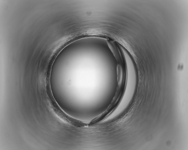 X0000094180530200711021007