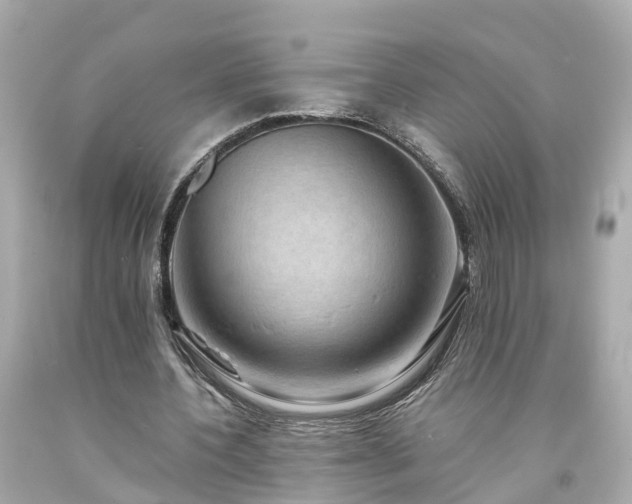 X0000094180532200711021007